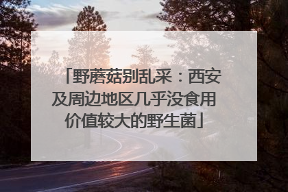 野蘑菇别乱采：西安及周边地区几乎没食用价值较大的野生菌